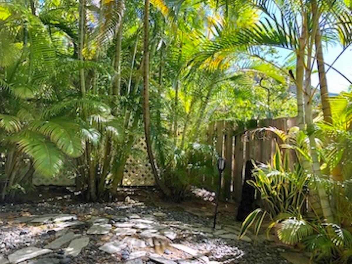 Lovely Relaxing Lanikai Studio, Legal Vacation Rental Kailua Buitenkant foto