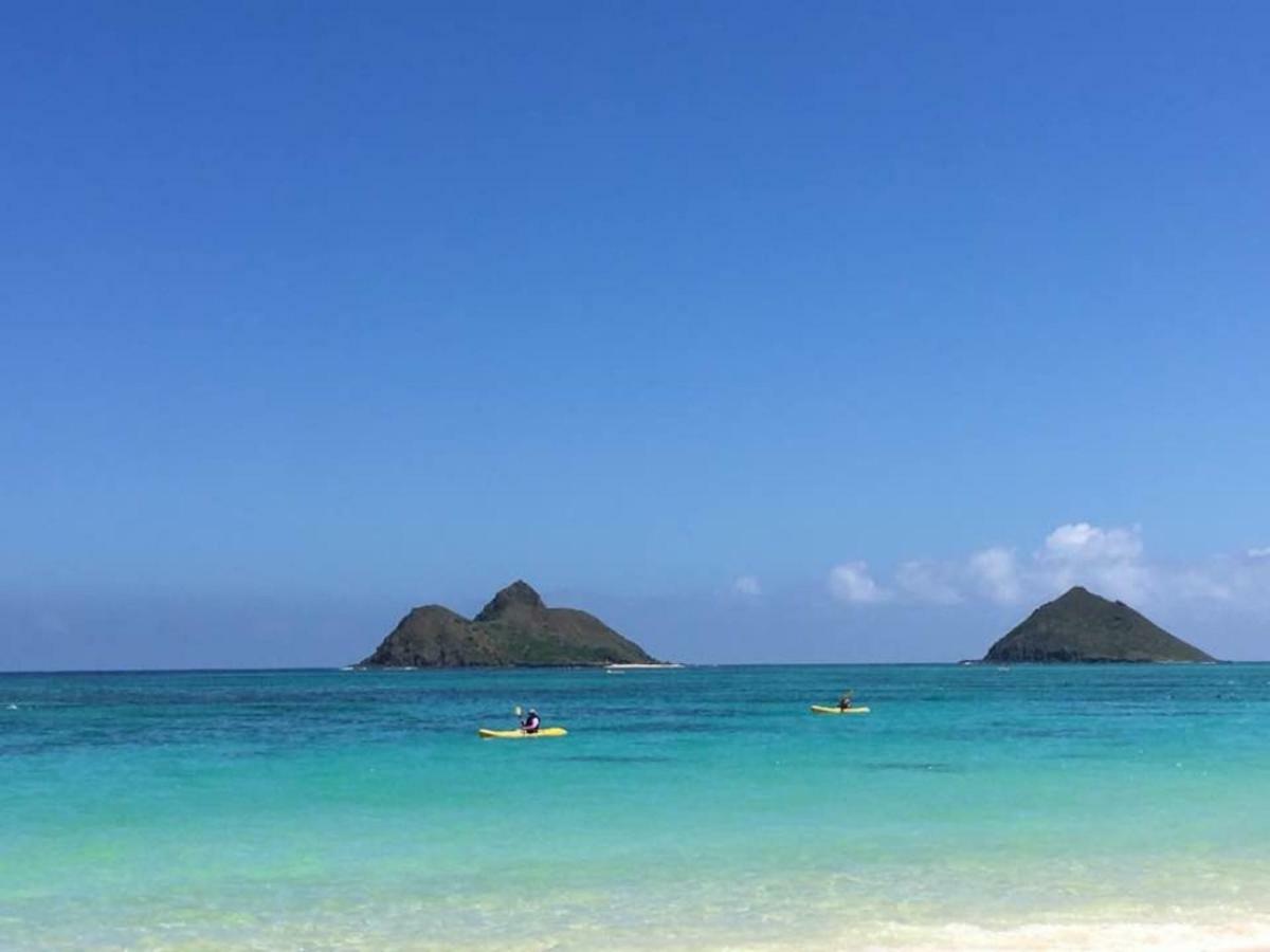 Lovely Relaxing Lanikai Studio, Legal Vacation Rental Kailua Buitenkant foto